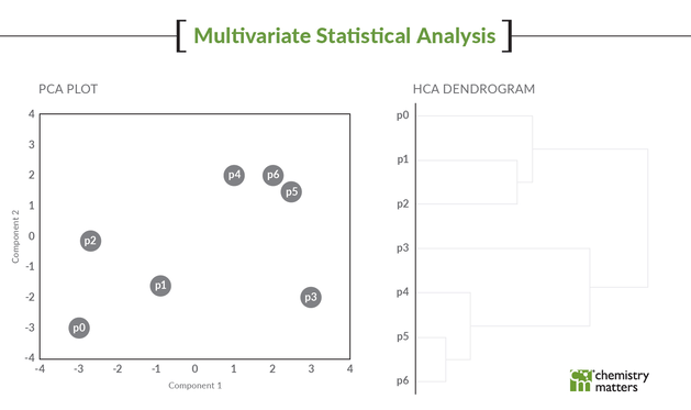 Interactive PCA and HCA demonstration of grouping samples.