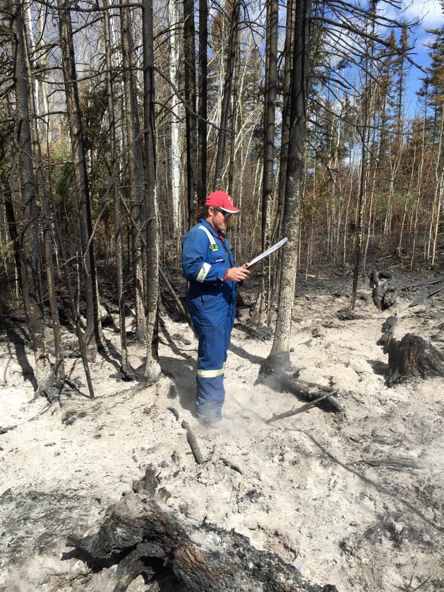 Wildfire Arson Investigation